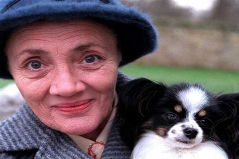 Emmerdale fans demand answers: What happened to Tootsie the iconic dog?