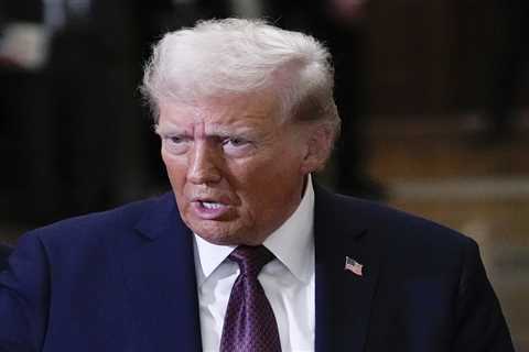David Lammy: Donald Trump has 'no greater friend' than Britain