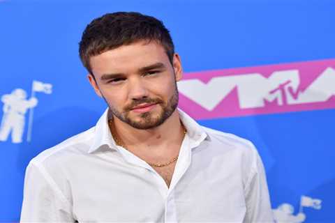 Liam Payne's Last Project, Building the Band, to be Released on Netflix