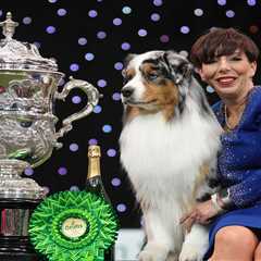 Who won Crufts 2024?