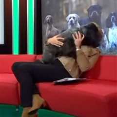 Crufts Host Clare Balding's On-Air Blunder: Excitable Dog Steals the Show