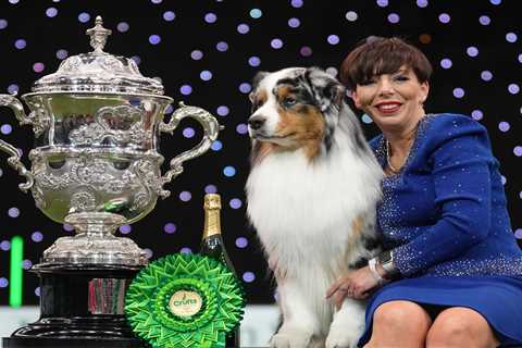 Who won Crufts 2024?