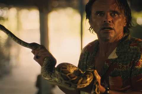 ‘White Lotus’ Actor Shares Terrifying Experience After Snake Bite