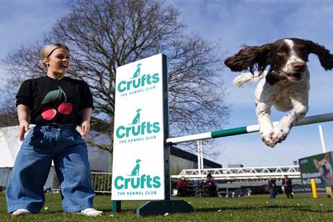Crufts Introduces Major Rule Change for French Bulldogs, Bulldogs, and Pugs