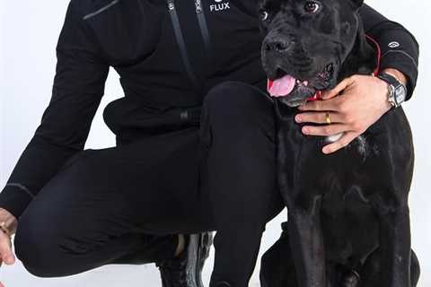 Jack Fincham to Get Cane Corso Dog Back After Successful Court Appeal