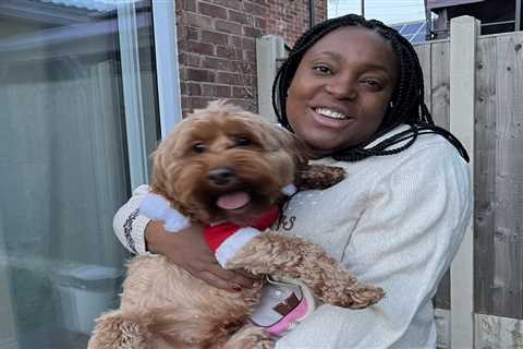 Labour MP uses taxpayers' cash for 'pet rent' to live with cockapoo in London