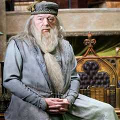 Meticulous Casting Criteria Unveiled for Harry Potter TV Series