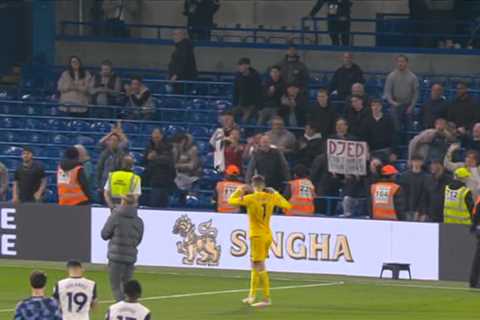 Spurs Keeper Vicario Loses His Damn Mind After Chelsea Defeat