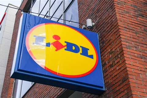 I went bonkers for Lidl's £2.99 garden lights - my neighbors think I've lost it