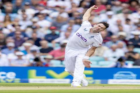 Cricket legend Jimmy Anderson knighted by ex-PM Rishi Sunak – alongside string of senior Tories