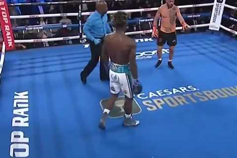 That time Lomachenko begged his opponent's corner to save their fighter – and they just... ignored..