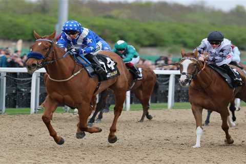 Holy $#@&! 200-1 longshot just made racing history at Newcastle in £150k stunner
