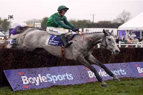 Irish Grand National 2025: Full Results, Fallers and Who Took Home the Glory at Fairyhouse