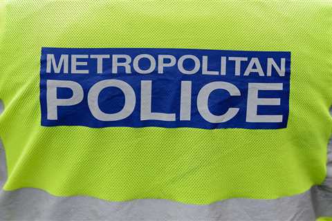 Analysis: Attempted Robbery Highlights Urban Crime Concerns Amidst Political Campaigning