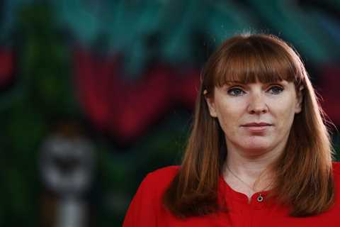 Deputy PM Angela Rayner's Stand Against Unattainable Housing Targets