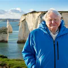 Sir David Attenborough Acknowledges Mortality in Reflection on Ocean Conservation