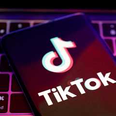 TikTok escapes UK ban as ministers shoot down attempt to block Chinese data transfers