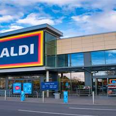 Your Furry Friends Will Thank You: Aldi's Summer Pet Range Hits Shelves Next Week (and it's..