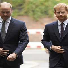 Prince William and Prince Harry's Rift: Unravelling the Complex Fracture