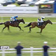 Mullins' Royal Ambition: The £100K Horse That Could Shock Ascot