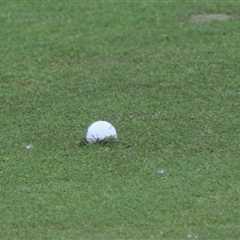 Shane Lowry Loses His Sh*t After PGA Officials Deny Relief for Embedded Ball