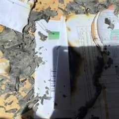 I Nearly Burned My House Down with an Aldi Magnifier - A Cautionary Tale