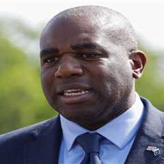 Analysis: Foreign Office Booked David Lammy on Allegedly Subpar Transport