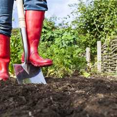 My Garden Zones Revolution: How I Turned My Patch into a Proper Holiday Escape