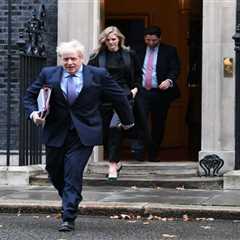 Nine Kids and Counting: Boris Johnson's Complicated Family Tree