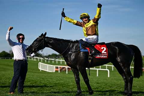Third Time's the Charm: Galopin Des Champs Finally Conquers Punchestown Gold Cup