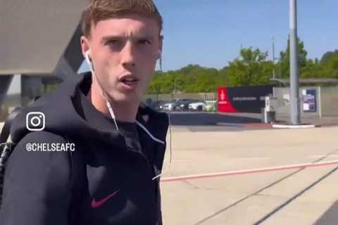 Cole Palmer Loses It as Chelsea Squad Gets Dragged into Ridiculous Gorilla Debate