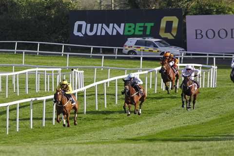 State Man Dominates Punchestown as Constitution Hill Flops Spectacularly
