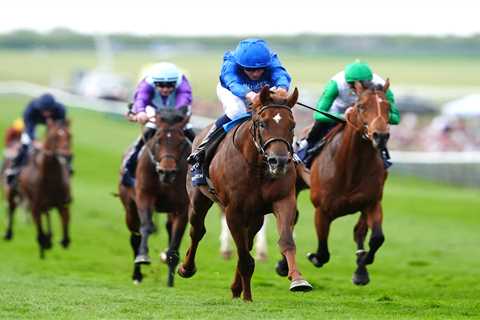 Heavyweight showdown at Newbury - why I'm backing Notable Speech in a Lockinge thriller (and a..