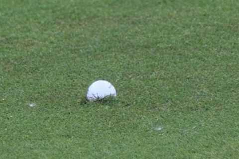 Shane Lowry Loses His Sh*t After PGA Officials Deny Relief for Embedded Ball