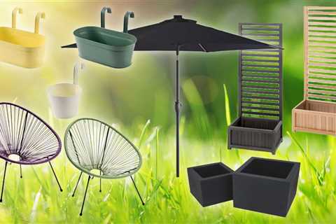 I Went Crazy at Aldi's Garden Section This Week – My Wallet Actually Thanked Me