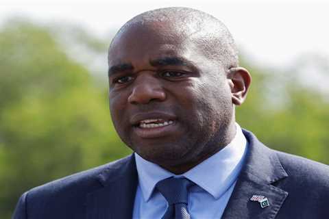 Analysis: Foreign Office Booked David Lammy on Allegedly Subpar Transport