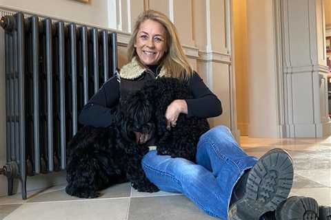 The Complex Regulatory Challenge Surrounding Sarah Beeny's Renovations