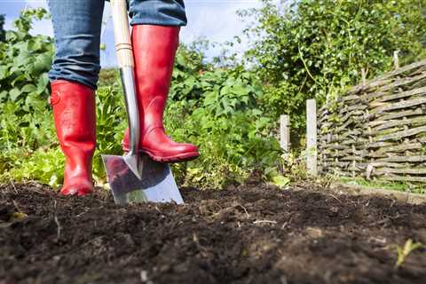 My Garden Zones Revolution: How I Turned My Patch into a Proper Holiday Escape