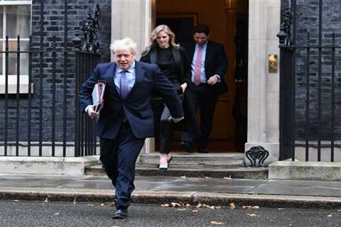 Nine Kids and Counting: Boris Johnson's Complicated Family Tree