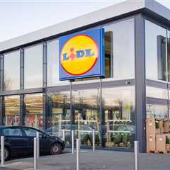 That Lidl Pizza Oven Everyone's Been Obsessing Over? It's Back (And I'm Already Planning My Third..