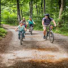 My Summer Survival Guide: Forest Adventures That Won't Bankrupt You