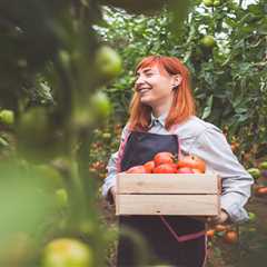 My Epic Journey from Supermarket Tomatoes to Homegrown Gold