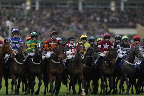 Government Tax Hike Could Send Racing Fans Straight Into Black Market Arms