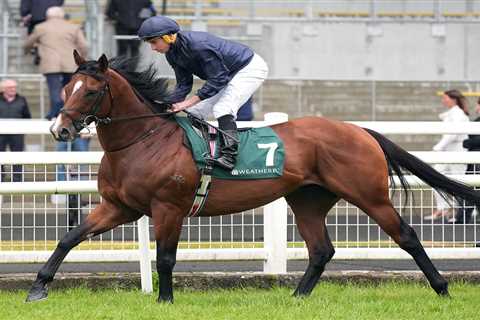 When Unstoppable Horses Stop Dead: The Storm Boy Disaster That Had Me Questioning Everything