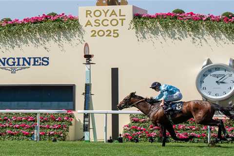 Haggas Spills the Tea on His Royal Ascot Heroes (And Yeah, Economics is Still Broken)
