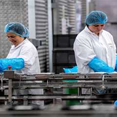 The Robot Invasion is Real, But These Jobs Will Keep You Safe (Plus That Sweet 13-Week Holiday)