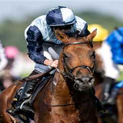 O'Brien Just Yanked His Ascot Star From a Half-Million-Pound Race (And Nobody Knows Why)