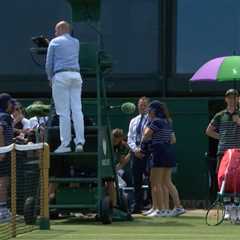 When Wimbledon Gets Too Real: Ball Kid Collapses in Brutal Heat