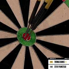 I Just Watched the Most Insane Darts Moment of My Life