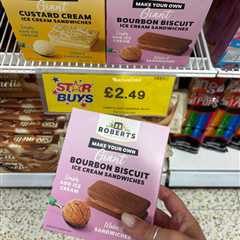 I Just Spent My Lunch Break Racing to Home Bargains for This £2.49 Ice Cream Hack